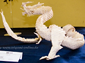 zur Vergr&ouml;&szlig;erung